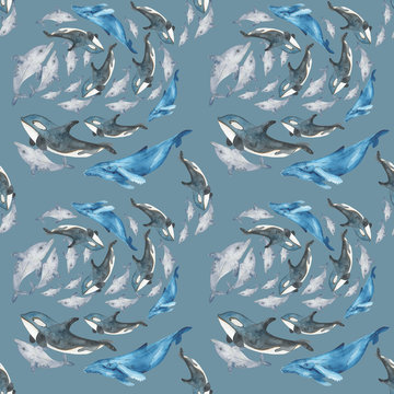 Watercolor flock of fish. A group of fish silhouette swim in a circle. Sea life. Aquarelle illustration. Illustration for  web, fabric prints, card and invitation. Many dolphins or whales moving, sea