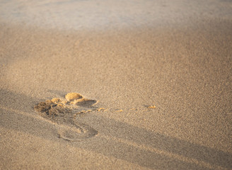 Fußabdruck im Sand am Meer