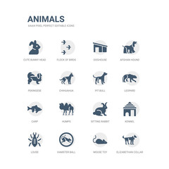 Obraz premium simple set of icons such as elizabethan collar, mouse toy, hamster ball, louse, kennel, sitting rabbit, humps, carp, leopard, pit bull. related animals icons collection. editable 64x64 pixel