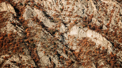 texture