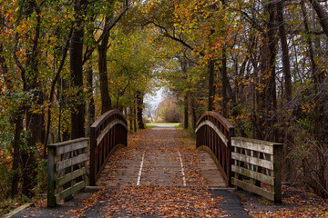 Naklejka premium Bridge in Woods