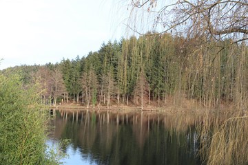 LAC DES SAPINS - CUBLIZE - RHONE - FRANCE