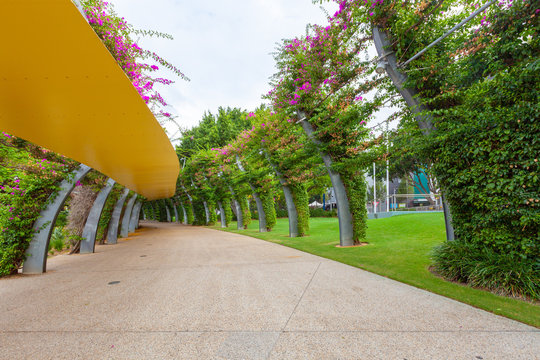 Walking Path Among Beautiful Greenery At South Bank Parklands.