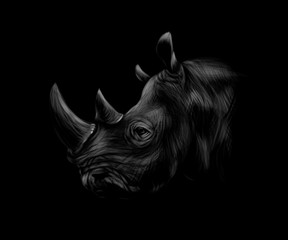 Portrait of a rhinoceros head on a black background. © kapona