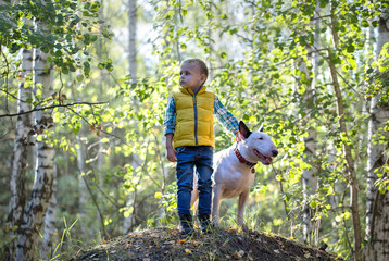 Little boy and his best friend, a white English bull terrier