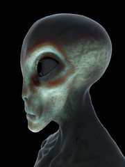 Naklejka premium 3d rendered illustration of an alien