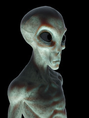 3d rendered illustration of an alien