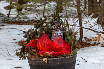 Acton, United States, February 27, 2019. Grassy Pond Conservation Area or raw nature in winter...