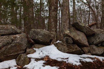 Acton, United States, February 27, 2019. Grassy Pond Conservation Area or raw nature in winter time, Massachusetts, United States