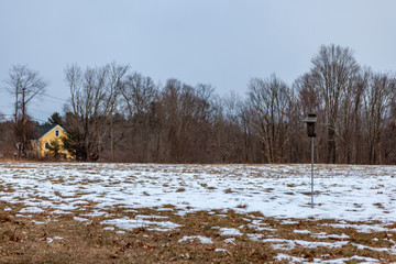 Acton, United States, February 27, 2019. Grassy Pond Conservation Area or raw nature in winter...