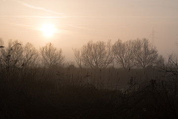fiume  con argine all'alba con nebbia del primo mattino