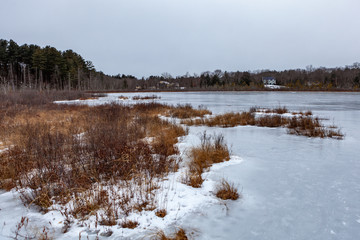 Acton, United States, February 27, 2019. Grassy Pond Conservation Area or raw nature in winter time, Massachusetts, United States