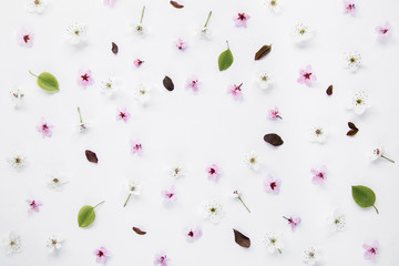 Variety of pink and white blossoms pattern composition on white background. Easter, spring, summer concept. Flat lay, top view