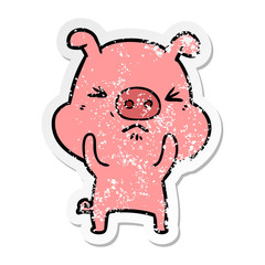 distressed sticker of a cartoon angry pig