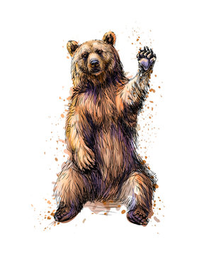 Bear arts hi-res stock photography and images - Alamy