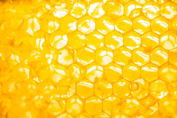honey in honeycomb close-up background
