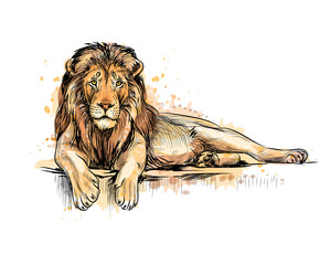 Portrait of a lion head from a splash of watercolor © kapona