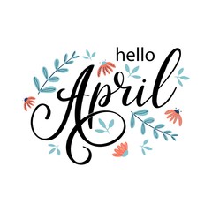 Hello April. Handwritten lettering with chamomile flowers. Season vector as poster, postcard, greeting card, invitation template. Concept April advertising for print, calendar, offers design.