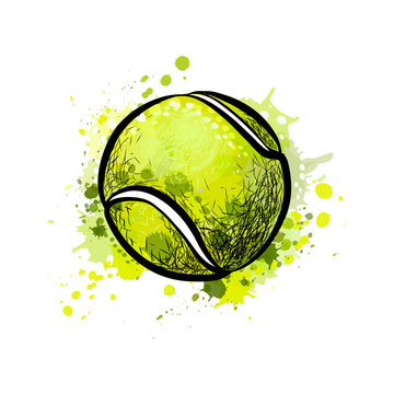Vettoriale Stock Tennis ball from a splash of watercolor, hand drawn sketch  | Adobe Stock