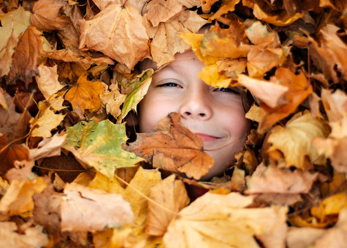 Boy is Buried in Fall leaves , Child is Happy for Autumn. smiling