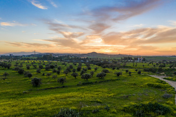 Fototapeta na wymiar Colourful sunset in green fields
