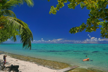 Fototapeta na wymiar lagon de moorea polynesie