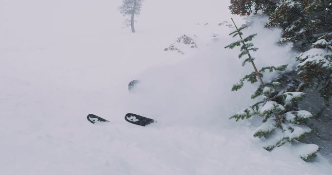 Skier rips turns in deep powder