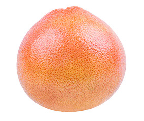 Fresh grapefruit isolated on white background  with clipping path