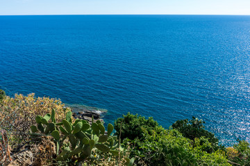 Italy, Cinque Terre, Vernazza, a body of water