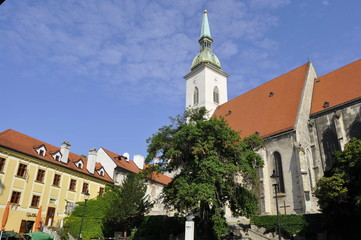 Fototapeta na wymiar St. Martin's Cathedral, Bratislava, Slovakia