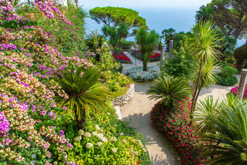 Fototapeta na wymiar garden in Ravello, Italy