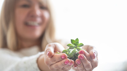 Young woman holding a succulent plant ready for planting