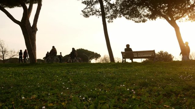 People walk  and ride bikes in a park, contrast backlight silhouette at sunset