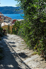 Italy, Cinque Terre, Vernazza, a garden with water in the background