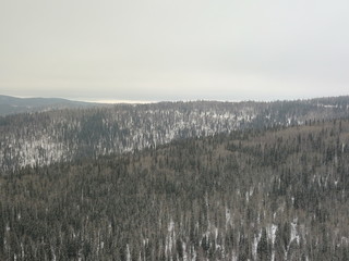 Wilderness outside of Fairbanks Alaska 