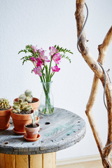 urban upcycling coffee table with cacti and flowers