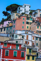 Fototapeta na wymiar Houses in the mountain of Riomaggiore, Cinque Terre, Italy