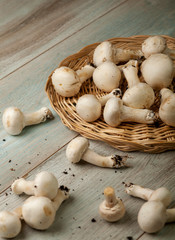 mushroom closeup on a light blue wooedn surface