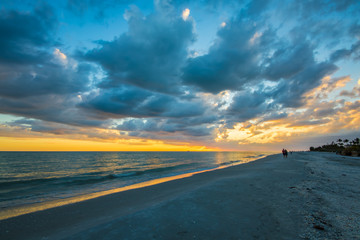 A Walk Along the Beach