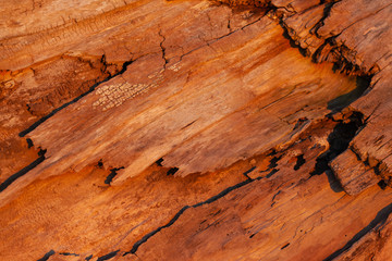 natural not processed rough bright red wooden surface, background, texture