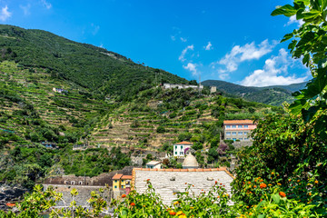 Obraz premium Italy, Cinque Terre, Vernazza, PLANTS AND BUILDINGS AGAINST SKY