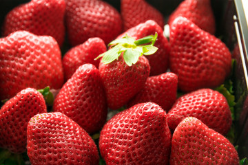Fresh delicious strawberries background in a plastic box or basket. Strawberry highlight with leaves.