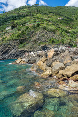 Italy, Cinque Terre, Vernazza, a rocky river with trees on the side of a mountain