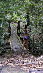 Beautiful girl on a forest hanging bridge