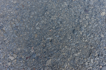 Italy, Cinque Terre, Vernazza, a close up of a rock