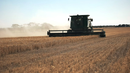 backlit shot of combine harvester in western australia