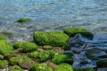 Italy, Cinque Terre, Vernazza, a close up of a rock next to a body of water