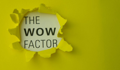 Torn paper with text The wow factor. Motivational concept