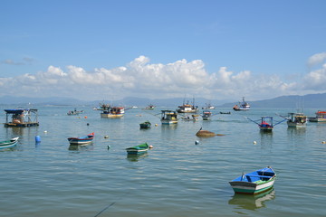 Boats in harbor.