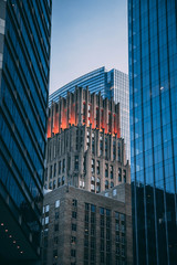 Skyscrapers in the city